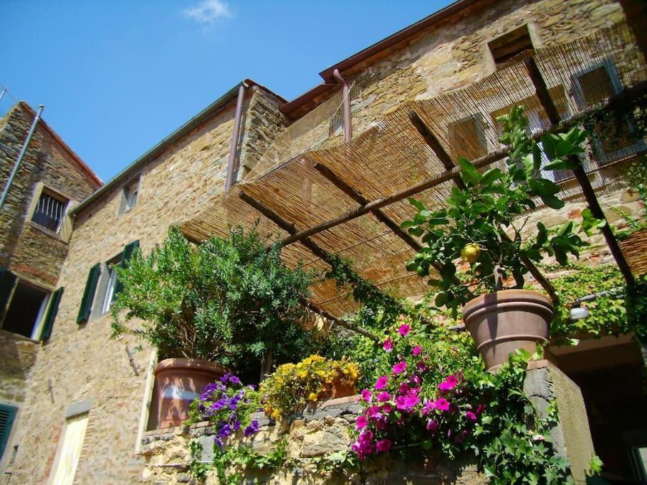 Near The Sea Big Panoramic House 2 Terraces In Lovely Village Montiano  Buitenkant foto
