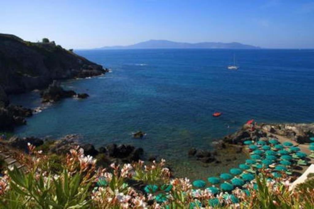 Near The Sea Big Panoramic House 2 Terraces In Lovely Village Montiano  Buitenkant foto